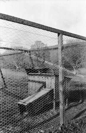 BALLYFEE FOXES RESTING ON THEIR BOXES